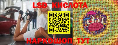 шишки Краснодар
